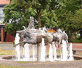 Niedersachsen-Pferde, Brunnen, Munster, Nordic Walking, Lüneburger Heide